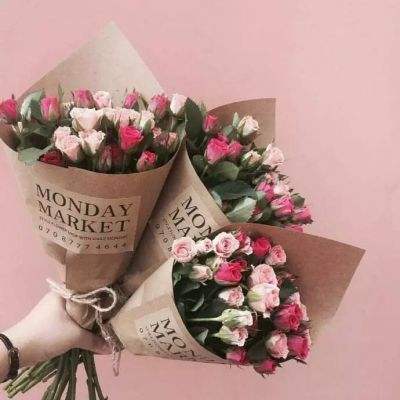 BOB体育最新版本下载